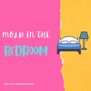 How To Get Rid Of Mold In The Bedroom