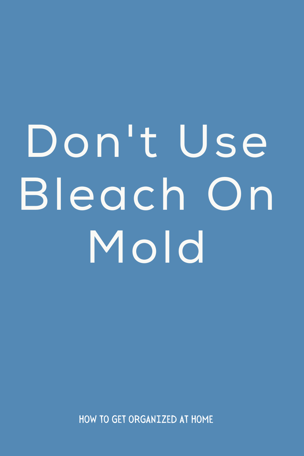 Will Bleach Kill Mold? How To Get Organized At Home