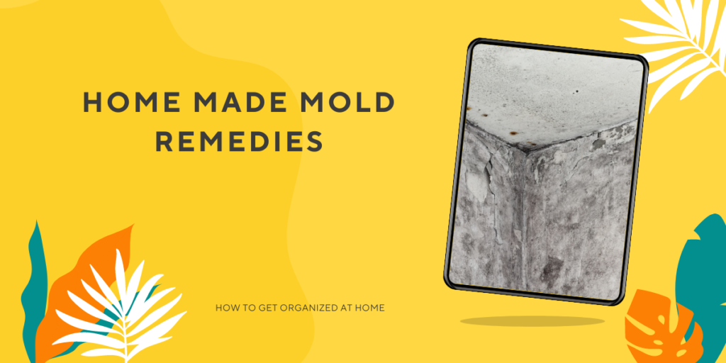 Home made mold Remedies