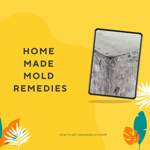 Home made mold Remedies