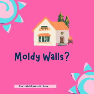 moldy walls