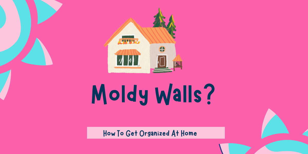 Simple Tips And Tricks On How To Get Mold Off Walls