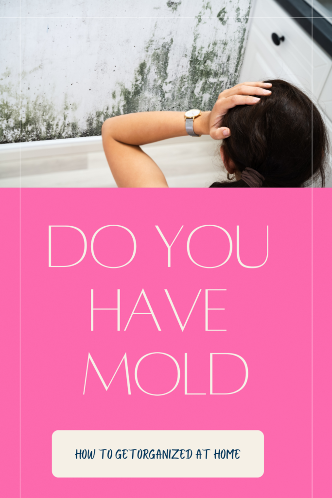 Kill mold without bleach