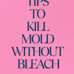 Kill mold without bleach