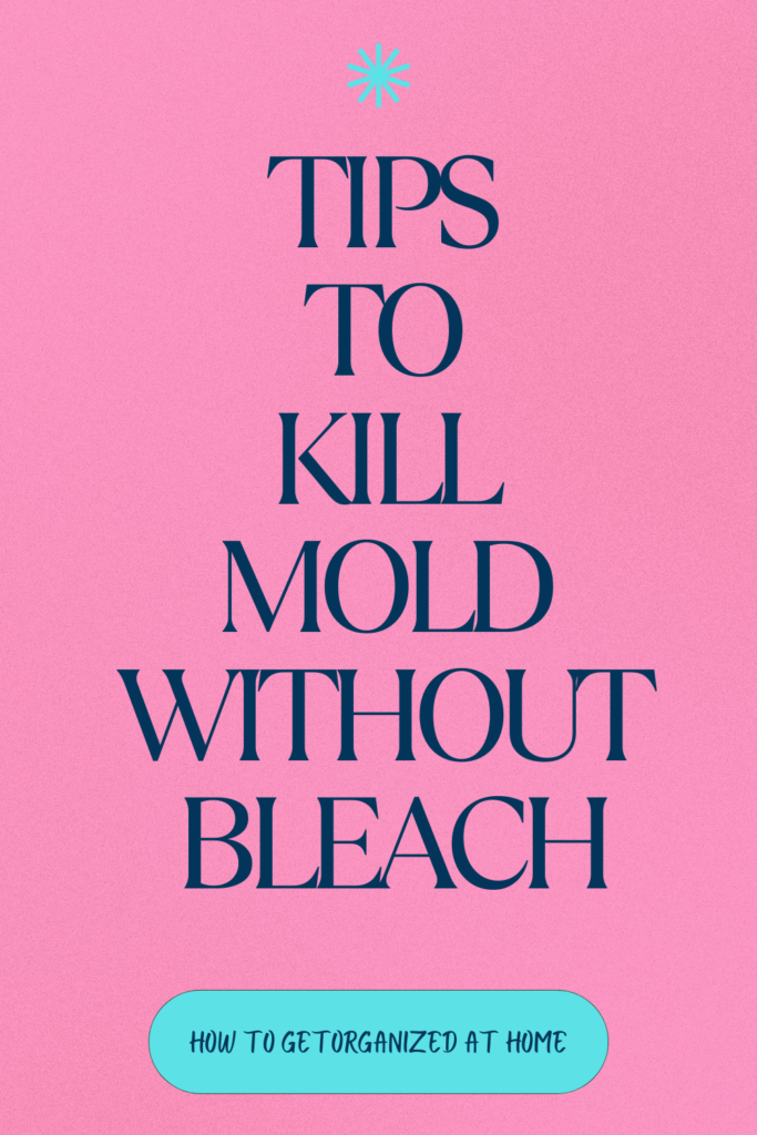 Kill mold without bleach