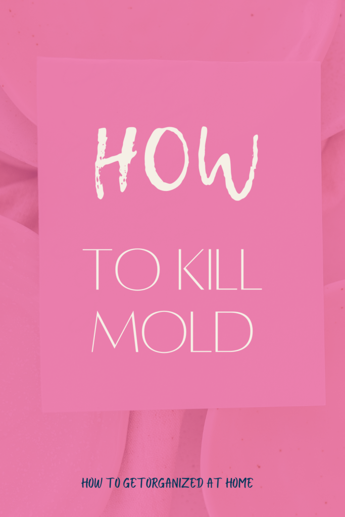 Kill mold without bleach