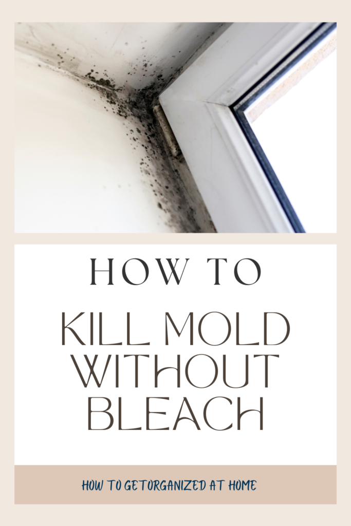 How To Kill Mold Without Bleach