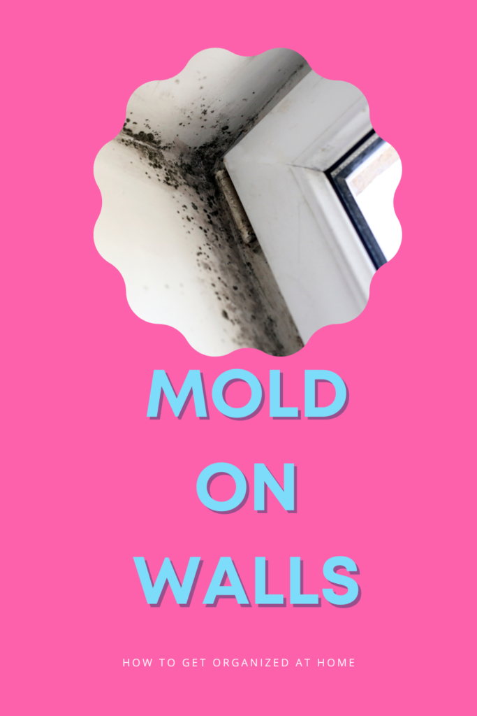 MOLD ON WALL