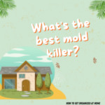 What's the best mold killer