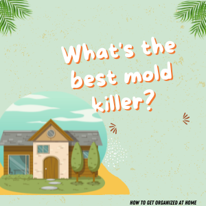 What Is The Best Mold Killer