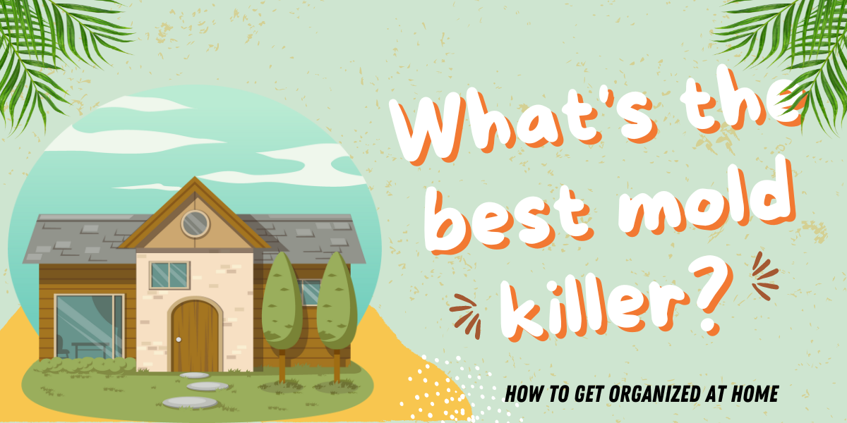 What Is The Best Mold Killer How To Get Organized At Home