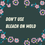 don't use bleach on mold