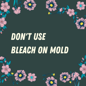 Don’t Be Cleaning Mold With Bleach