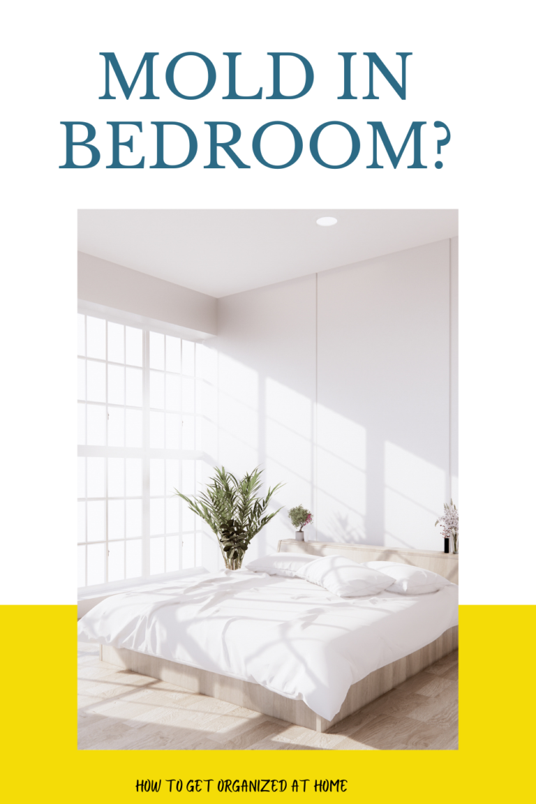 How To Get Rid Of Mold In The Bedroom