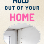 Tips And Ideas To Getting Mold Out