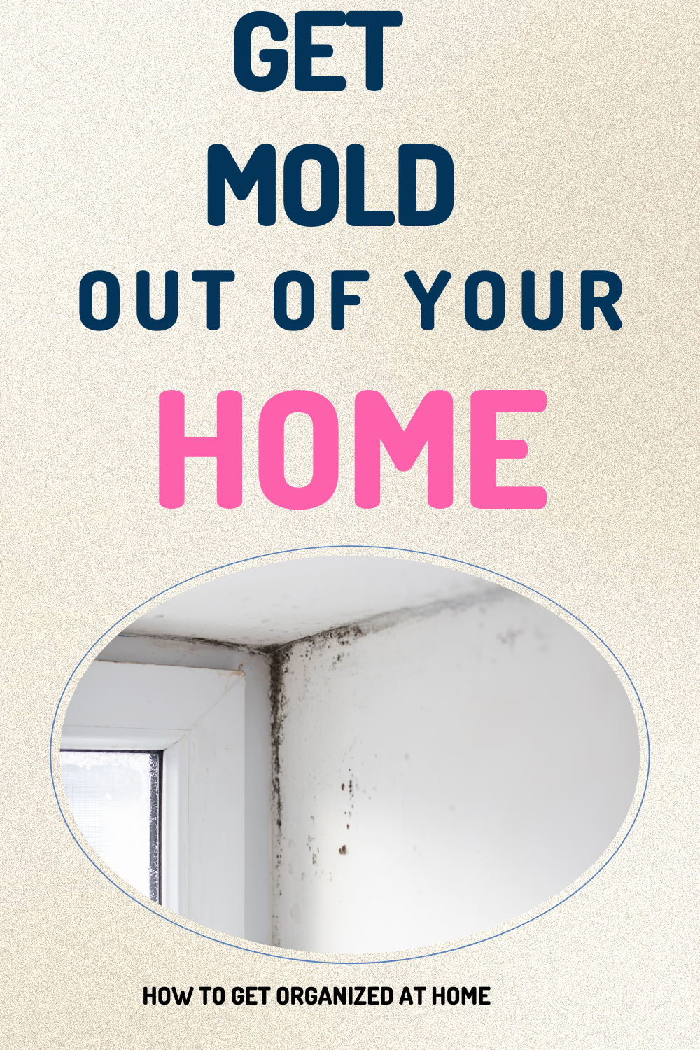 How To Get Rid Of Mold On Porous Surfaces