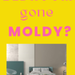 Tips On Getting That Mold Gone