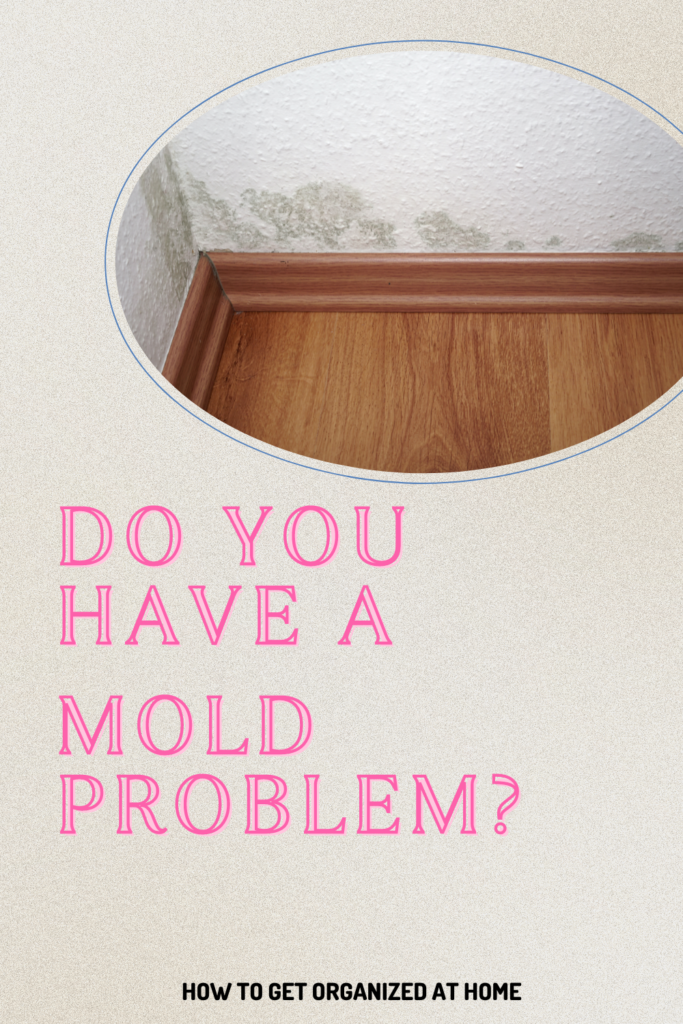 Do You Have A Mold Problem?