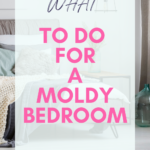 What To Do For A Moldy Bedroom
