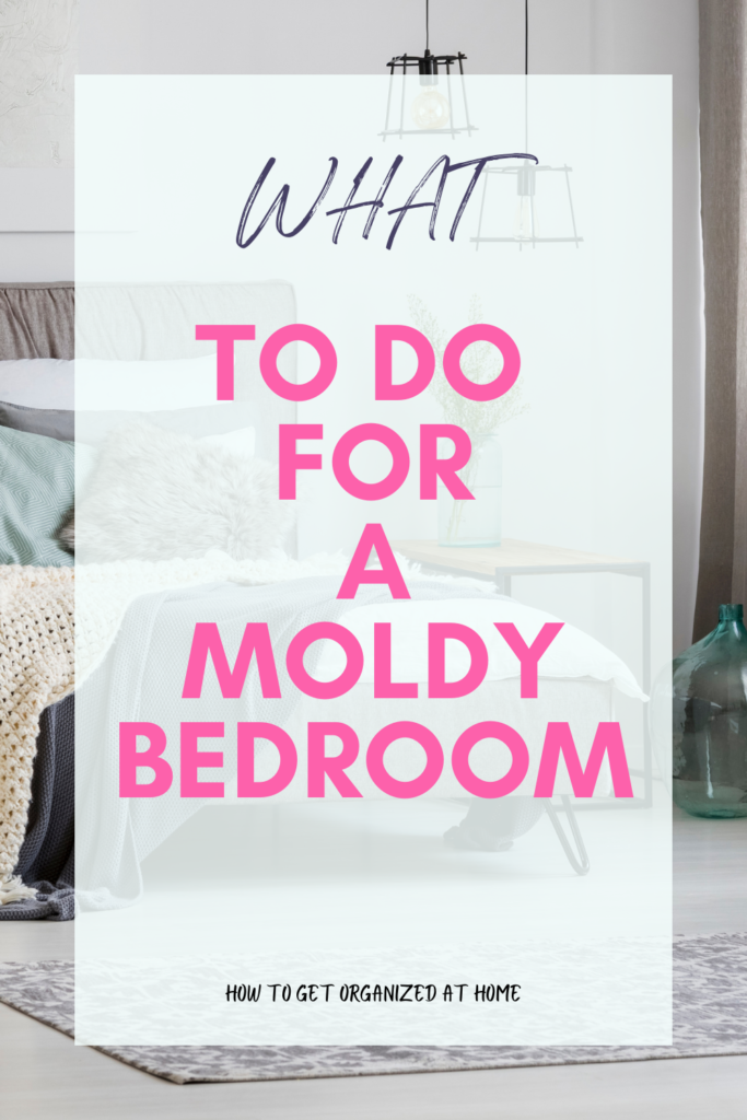 What To Do For A Moldy Bedroom