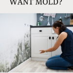 Why You Don’t Want Mold