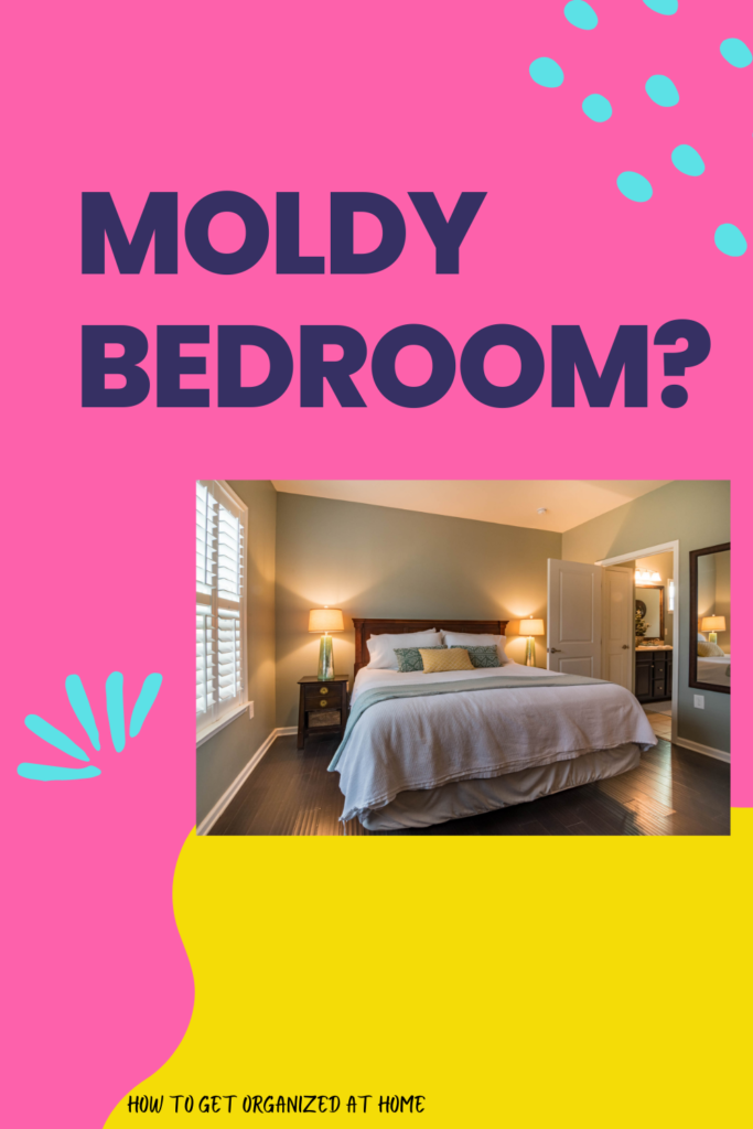 Do You Have Mold In Your Bedroom?
