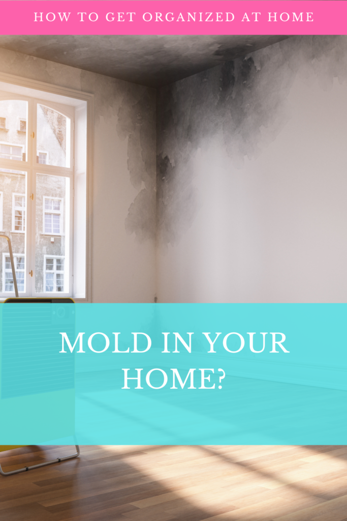 MOLD