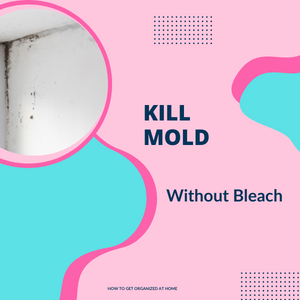 How To Kill Mold Without Bleach