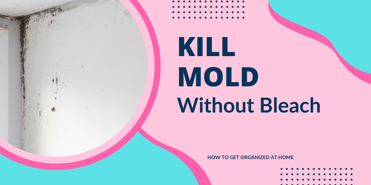 How To Kill Mold Without Bleach