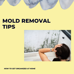 Simple And Easy Mold Removal Tips