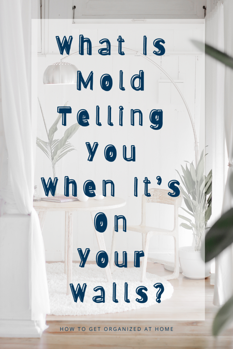 Simple Tips And Tricks On How To Get Mold Off Walls