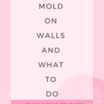 Take Action Today On Mold