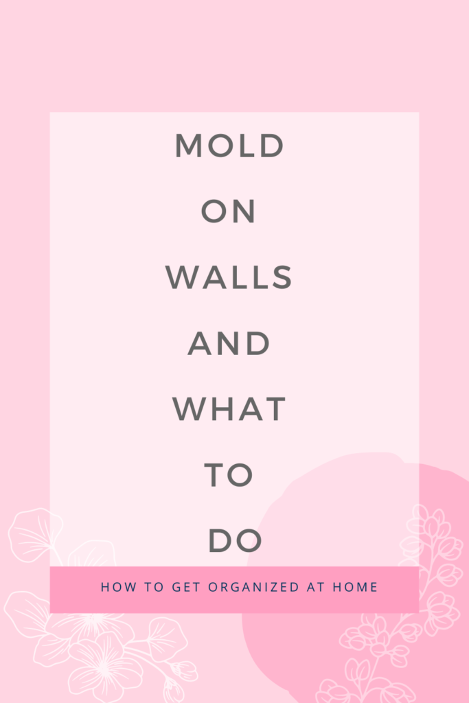 Take Action Today On Mold