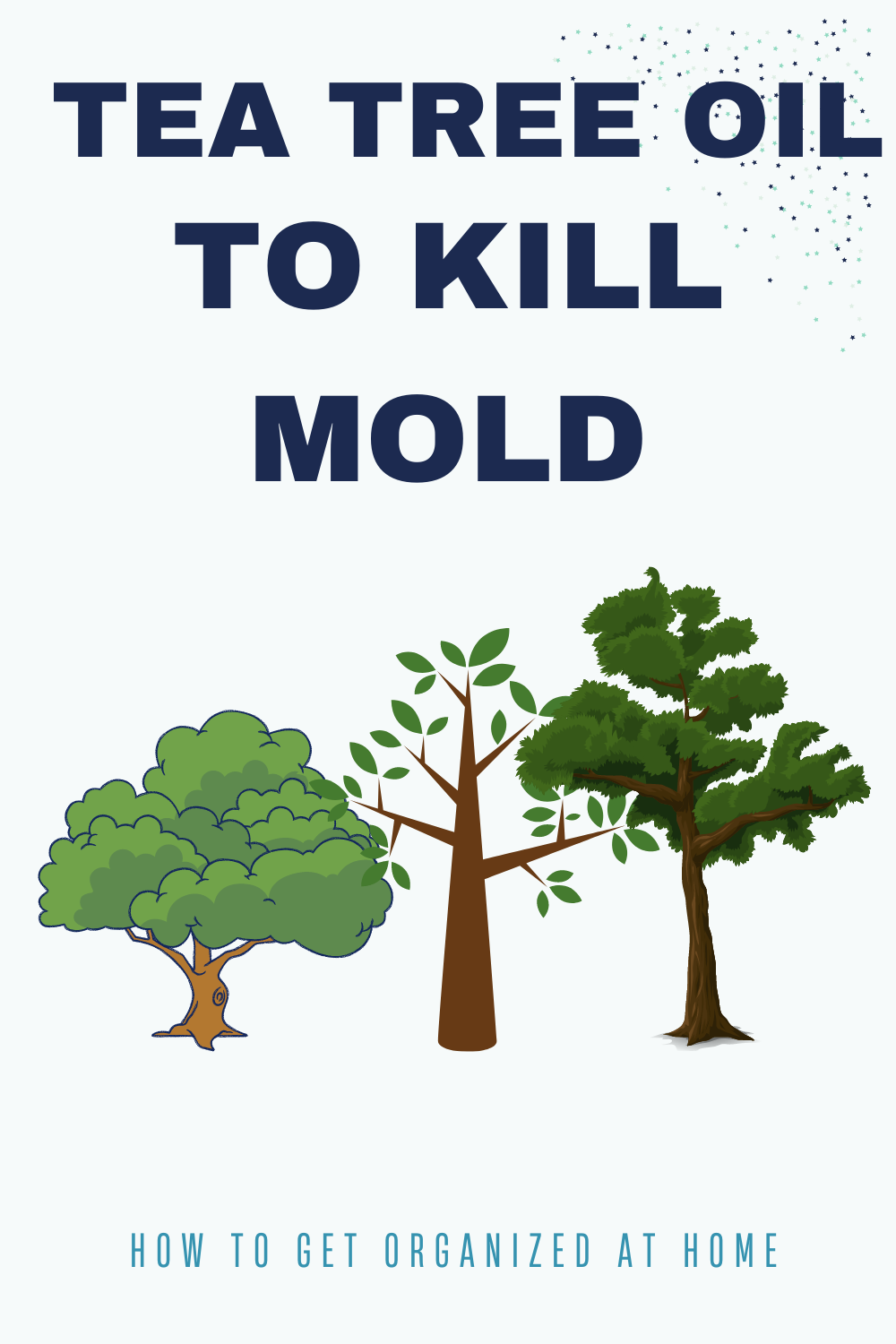 Are You Using Tea Tree Oil On Mold?