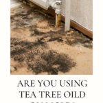 Are You Using Tea Tree Oil On Mold?
