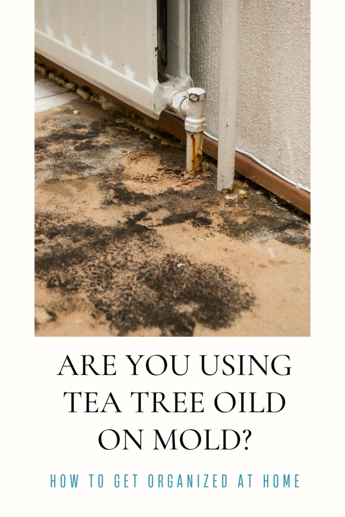 Are You Using Tea Tree Oil On Mold?