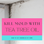 use tea tree oil
