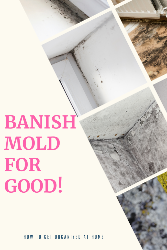 banish mold