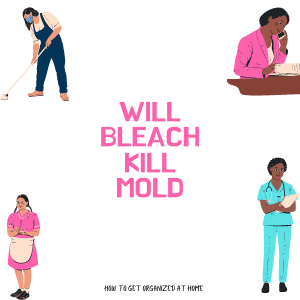 Will Bleach Kill Mold?