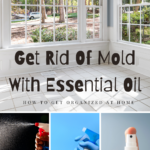 Top Tips On Killing Mold Today