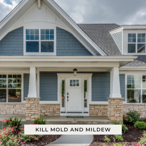 How To Kill Mold And Mildew The Easy Way