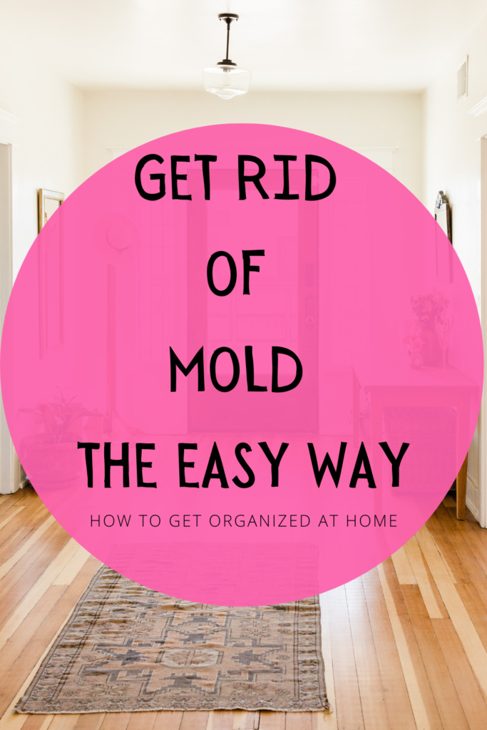 How To Get Rid Of Mold In A House - Without Killing Yourself