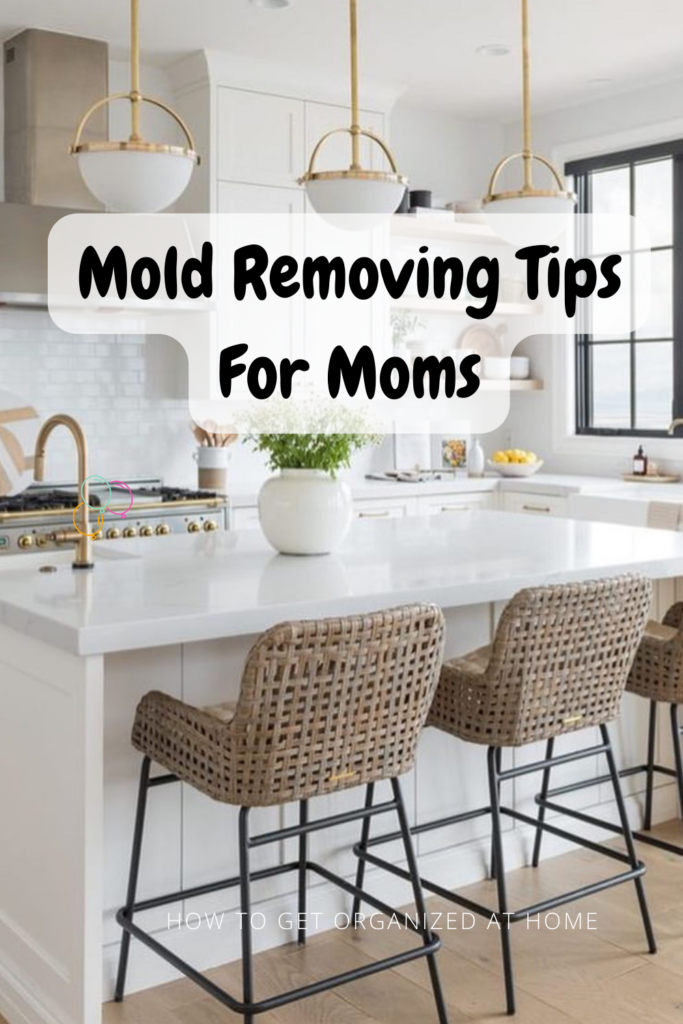 How to Get Rid of Mold in a House the Easy Way