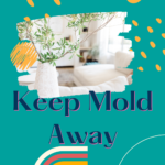 How To Get Rid Of Mold In A House - Tips For Moms