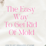 How To Get Rid Of Mold In A House (And Keep It From Coming Back)