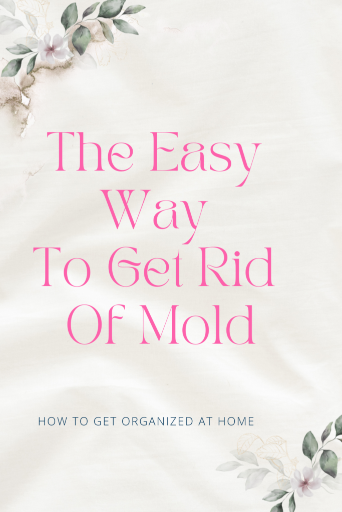 How To Get Rid Of Mold In A House (And Keep It From Coming Back)