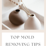 How To Get Rid Of Mold In A House