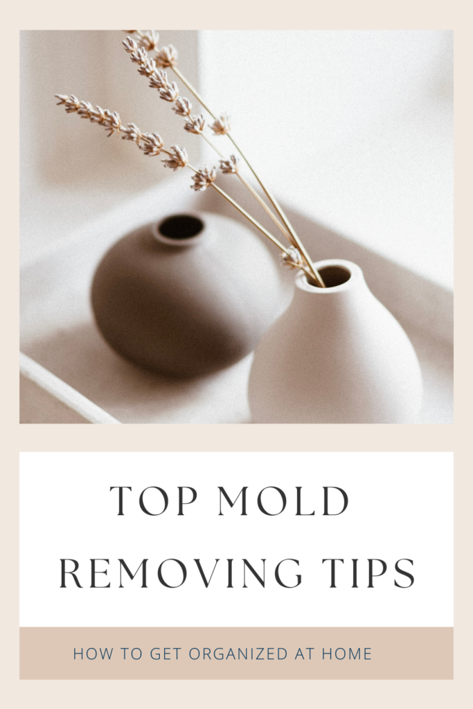 How To Get Rid Of Mold In A House
