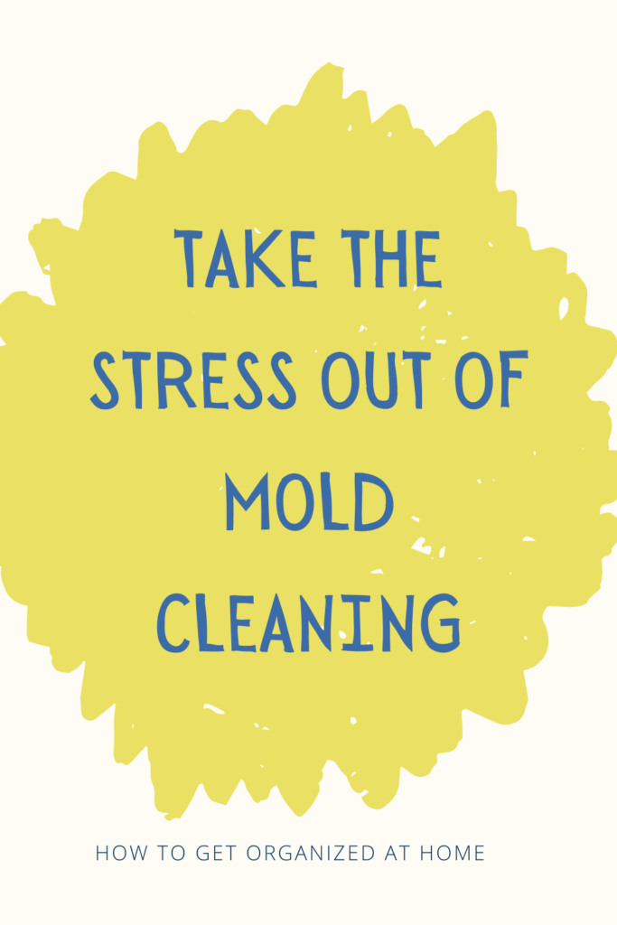 How To Get Rid Of Mold In A House - The Easy Way!