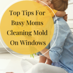 Don't Let Mold Into Your Home